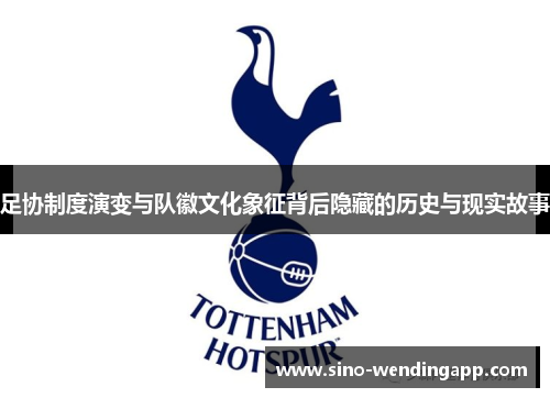 足协制度演变与队徽文化象征背后隐藏的历史与现实故事
