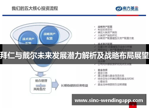拜仁与戴尔未来发展潜力解析及战略布局展望