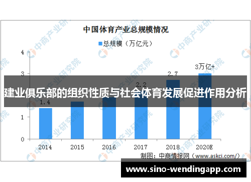 建业俱乐部的组织性质与社会体育发展促进作用分析 建业俱乐部的组织性质与社会体育发展促进作用分析