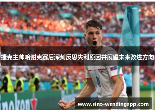 捷克主帅哈谢克赛后深刻反思失利原因并展望未来改进方向