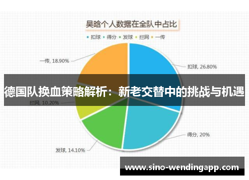 德国队换血策略解析：新老交替中的挑战与机遇