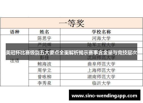 美冠杯比赛级别五大要点全面解析揭示赛事含金量与竞技层次
