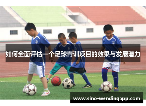 如何全面评估一个足球青训项目的效果与发展潜力