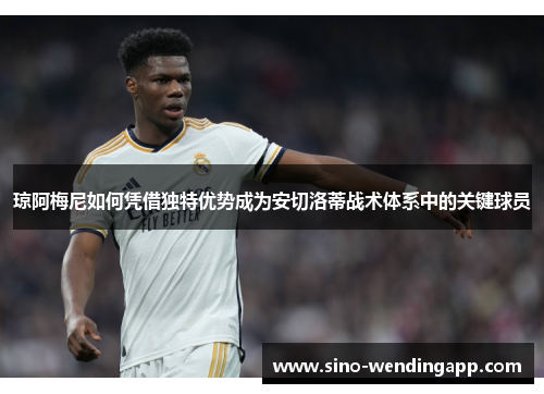 琼阿梅尼如何凭借独特优势成为安切洛蒂战术体系中的关键球员
