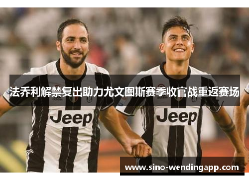 法乔利解禁复出助力尤文图斯赛季收官战重返赛场 法乔利解禁复出助力尤文图斯赛季收官战重返赛场
