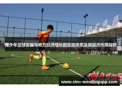 青少年足球发展与地方经济增长的互动关系及其促进作用探析 青少年足球发展与地方经济增长的互动关系及其促进作用探析