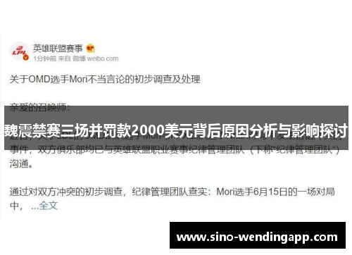魏震禁赛三场并罚款2000美元背后原因分析与影响探讨