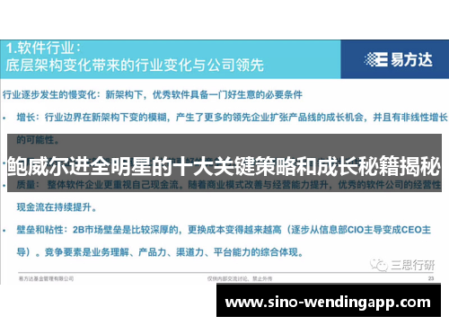 鲍威尔进全明星的十大关键策略和成长秘籍揭秘 鲍威尔进全明星的十大关键策略和成长秘籍揭秘